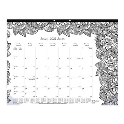 Doodleplan™ Monthly Desk Pad Calendar (2022)